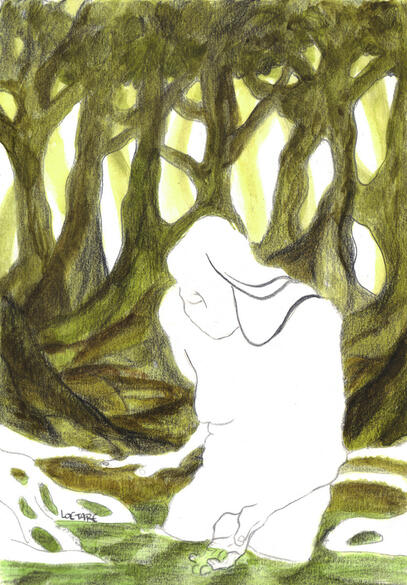 Forest project Forest project